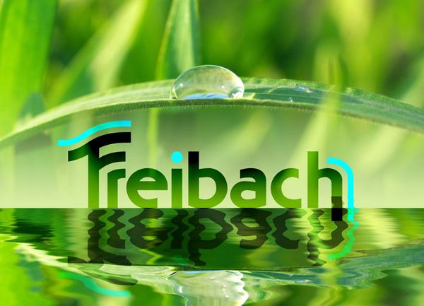 PR2B Group: Бренд для Лидера